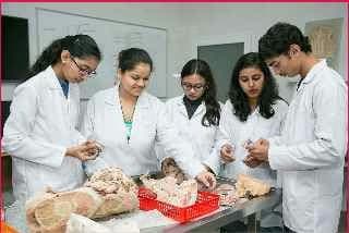 Students learning